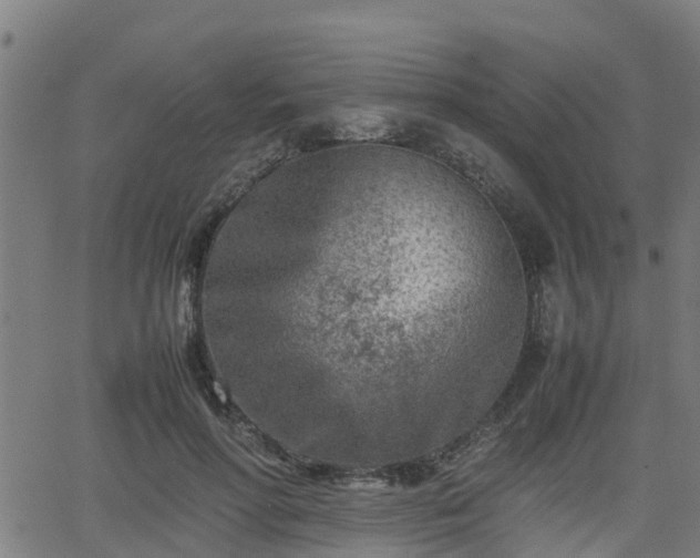 X0000062130598200512161154