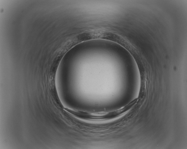 X0000062130601200512161153