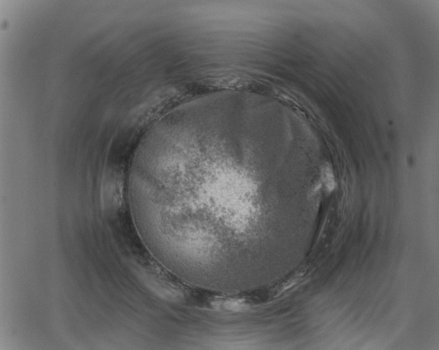 X0000062130602200512161153