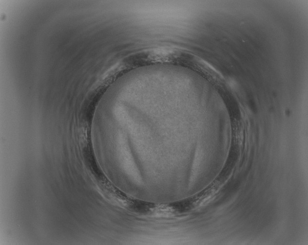 X0000062130603200512161153