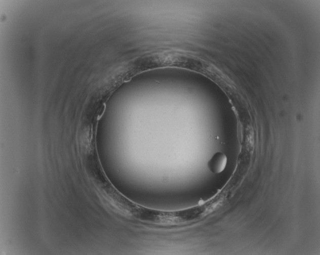 X0000062130605200512161153