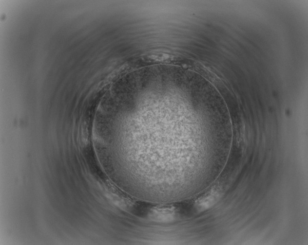 X0000062130606200512161153