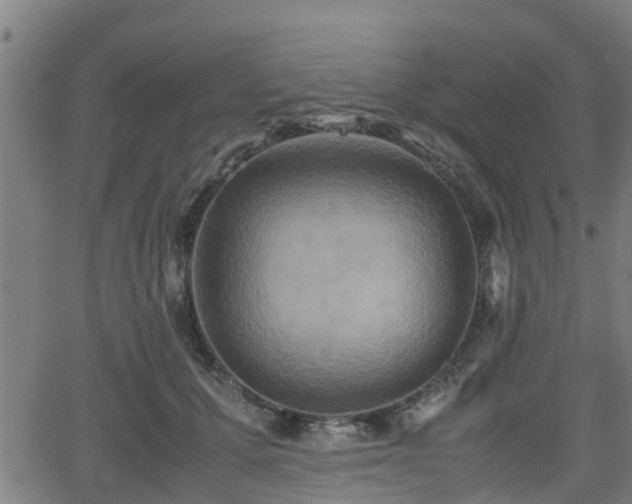 X0000062130607200512161153