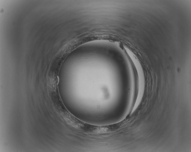 X0000062130609200512161153