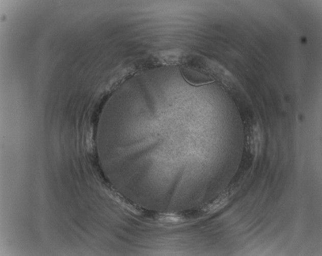 X0000062130610200512161153