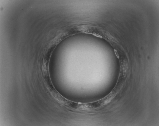 X0000062130611200512161153