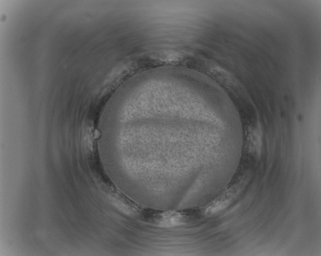 X0000062130612200512161153