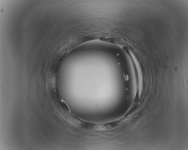 X0000062130613200512161153