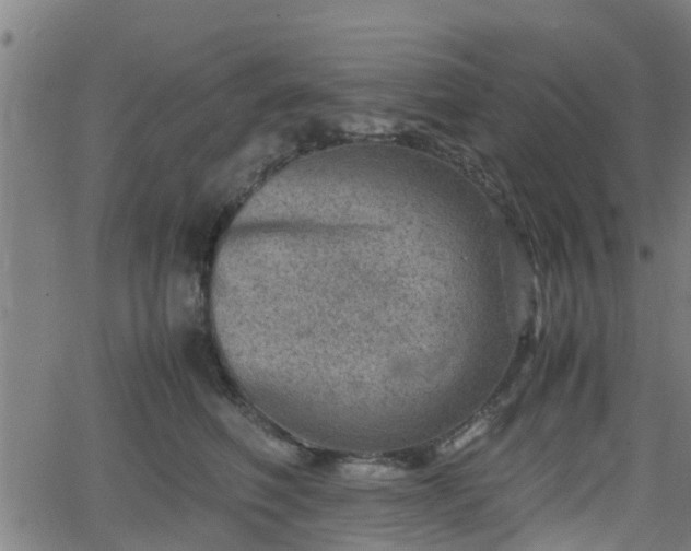 X0000062130614200512161153