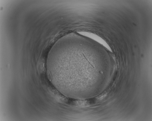 X0000062130615200512161153