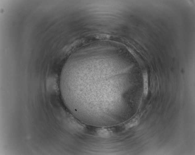 X0000062130616200512161153