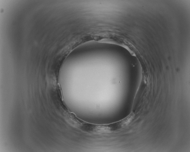 X0000062130617200512161153