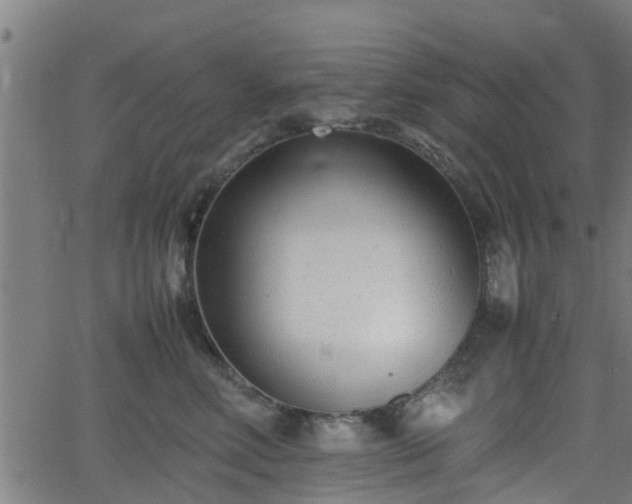 X0000062130618200512161153