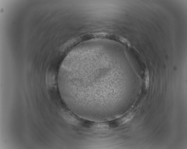 X0000062130619200512161153