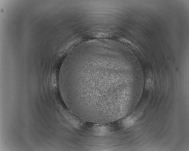 X0000062130620200512161153