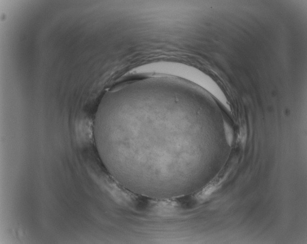 X0000062130621200512161153