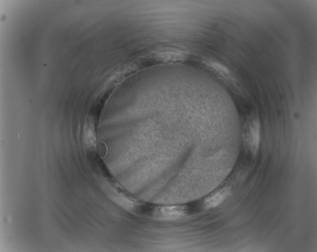 X0000062130622200512161153