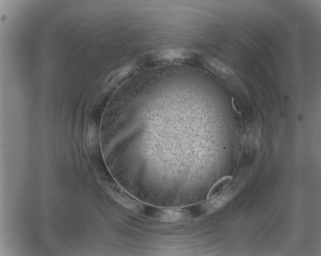 X0000062130623200512161153