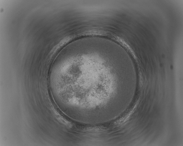 X0000062130625200512161152