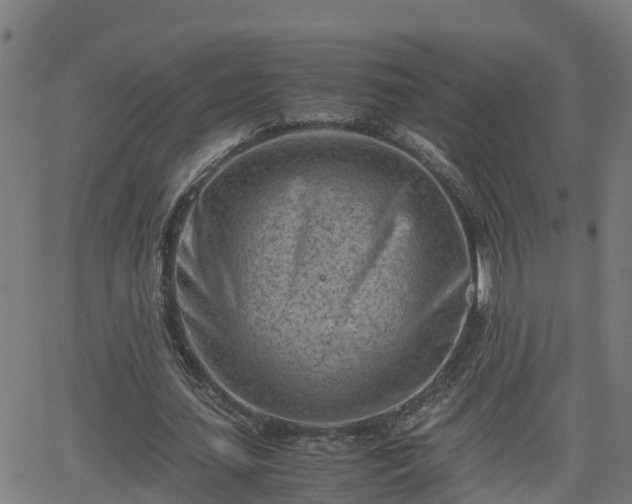 X0000062130627200512161152