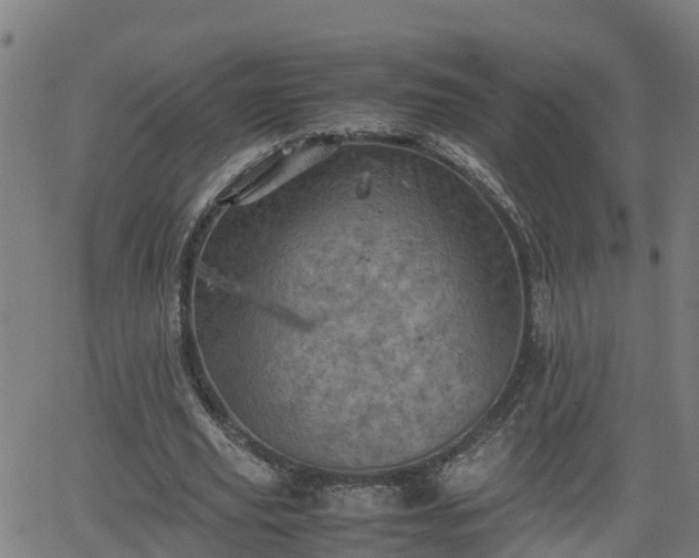 X0000062130629200512161152