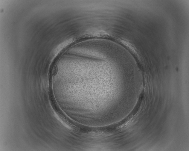 X0000062130630200512161152