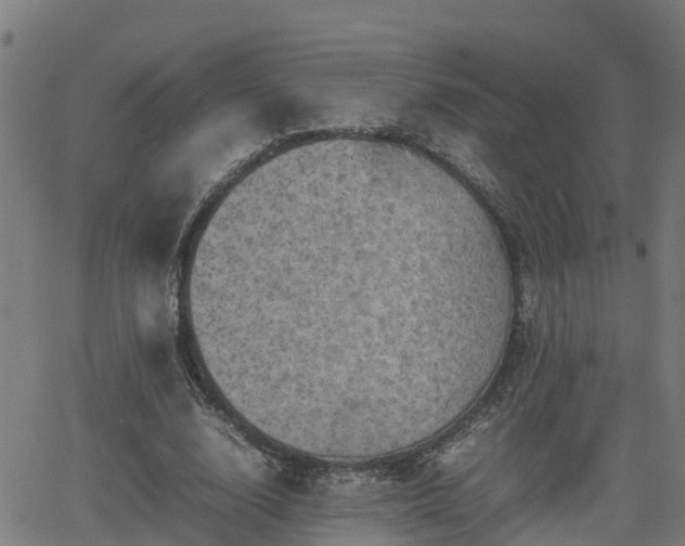 X0000062130632200512161152