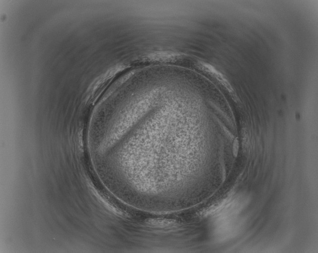 X0000062130633200512161152