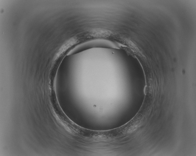 X0000062130634200512161152