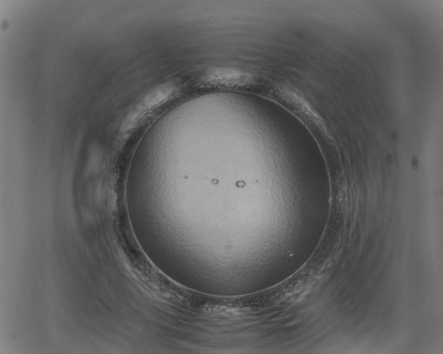 X0000062130635200512161152