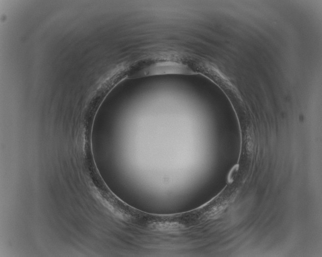 X0000062130637200512161153