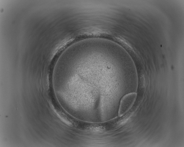 X0000062130638200512161153