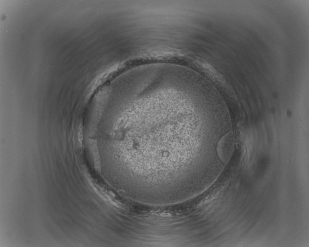 X0000062130640200512161153