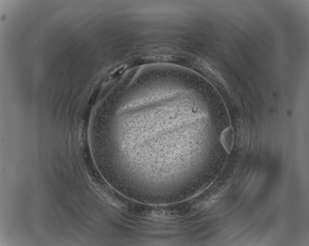 X0000062130641200512161153