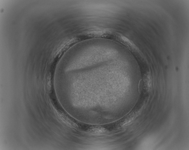 X0000062130642200512161153