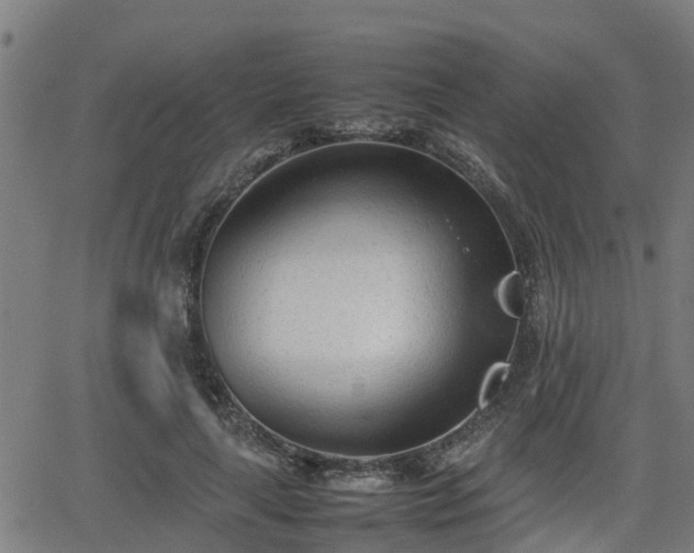 X0000062130643200512161153