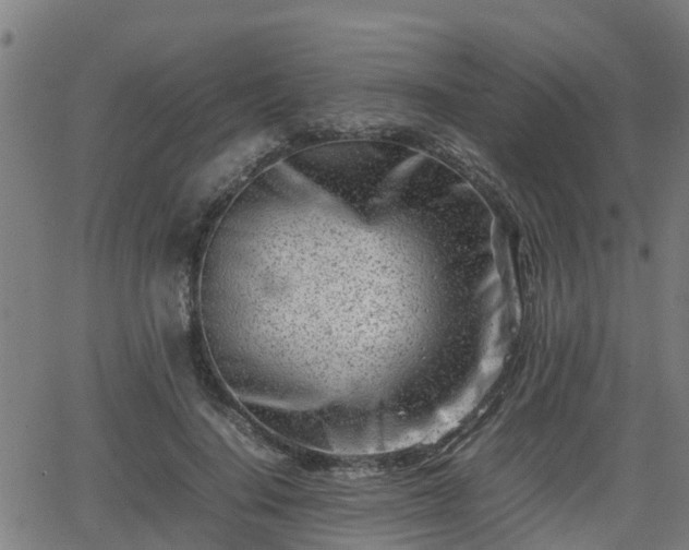 X0000062130644200512161153