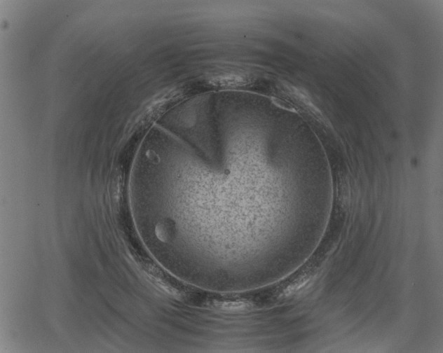 X0000062130645200512161153