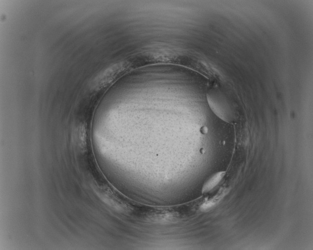 X0000062130646200512161153