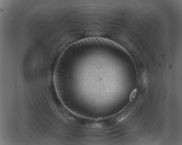 X0000062130647200512161153