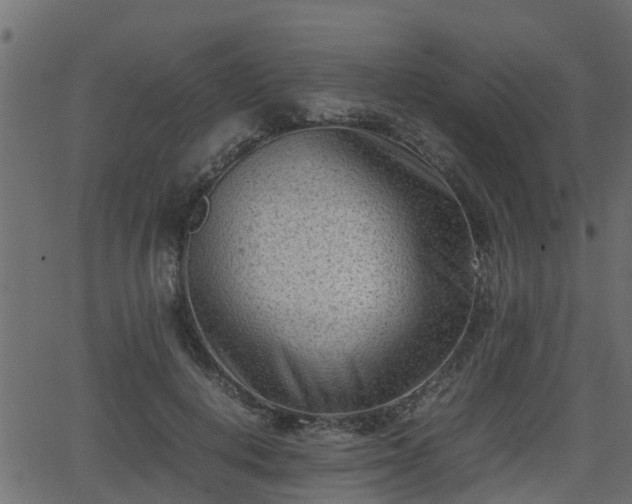 X0000062130648200512161153