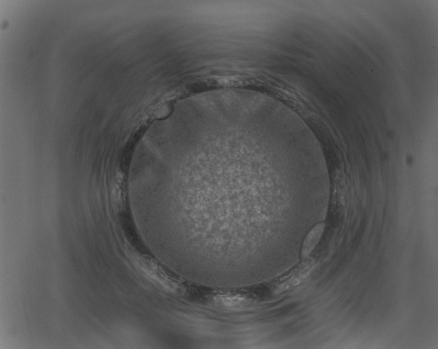 X0000062130650200512161153