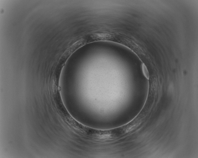 X0000062130651200512161153