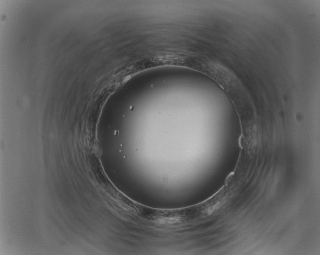 X0000062130653200512161153