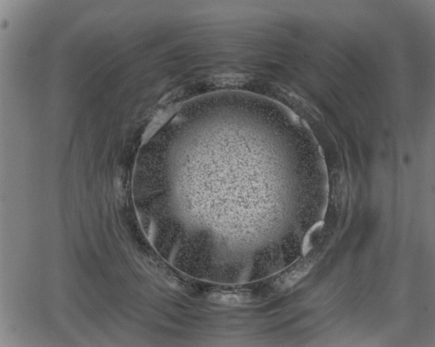 X0000062130655200512161153