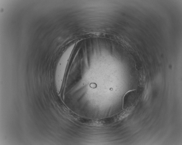 X0000062130656200512161153