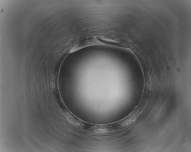 X0000062130658200512161153