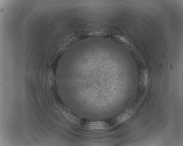 X0000062130659200512161153