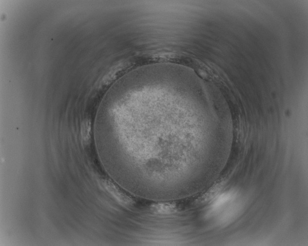 X0000062130660200512161153