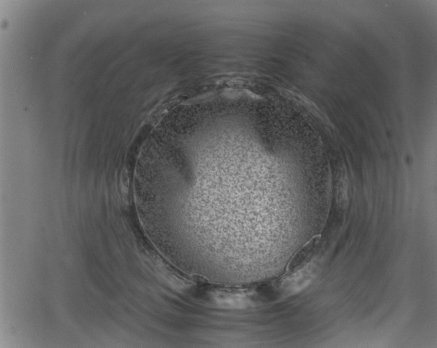 X0000062130661200512161153